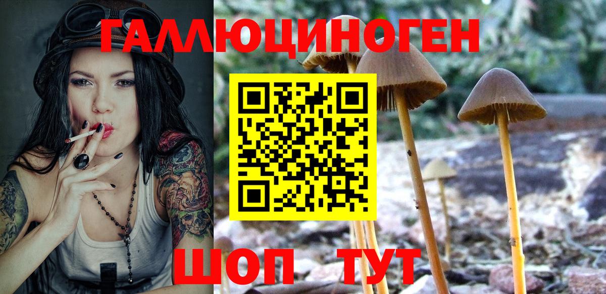 Галлюциногенные грибы Cubensis  Вход с VPN  Сланцы 