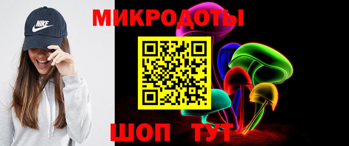 Псилоцибиновые грибы мицелий Сланцы